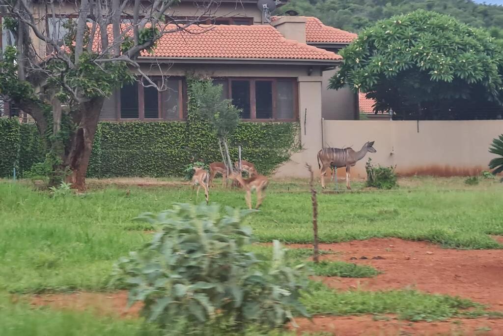 Ferienwohnung 66 Sharalumbi Wildlife Estate Lydenburg Exterior foto