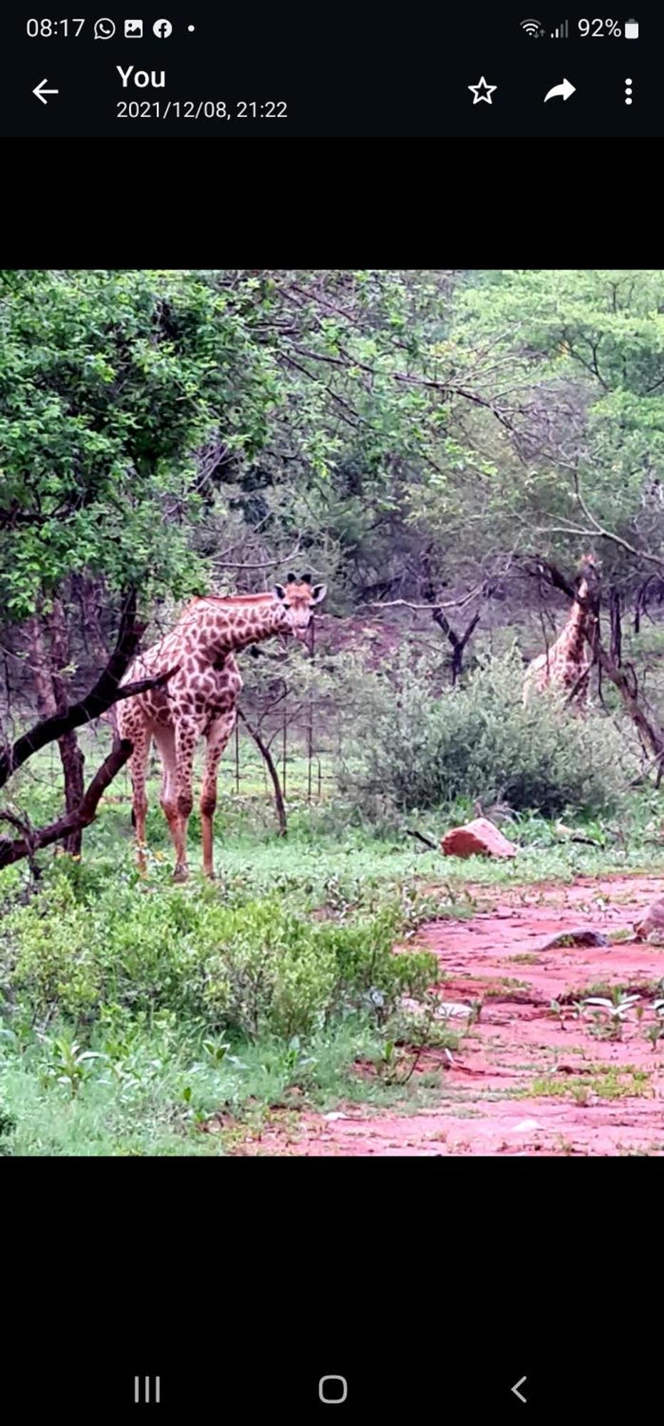 Ferienwohnung 66 Sharalumbi Wildlife Estate Lydenburg Zimmer foto